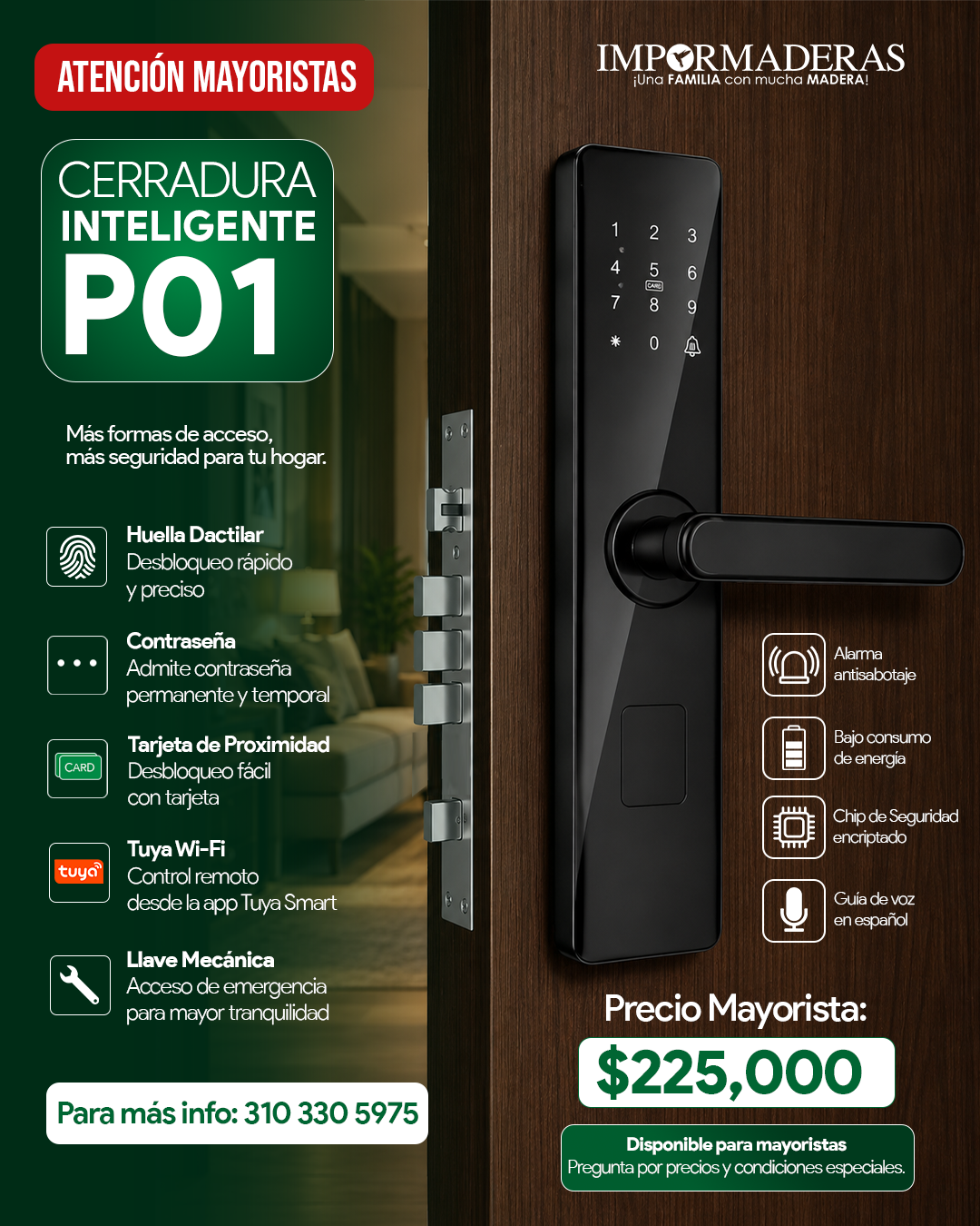 CERRADURA INTELIGENTE IMPORMADERAS